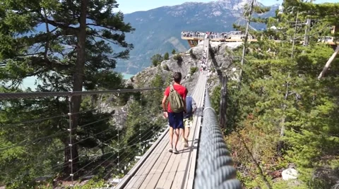 Suspension bridge 動画素材 55617124