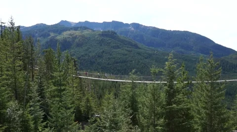 Suspension bridge 動画素材 55617157