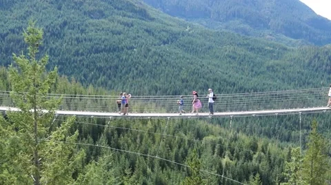 Suspension bridge 動画素材 55617170