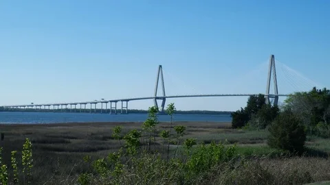 Suspension Bridge Stock Footage