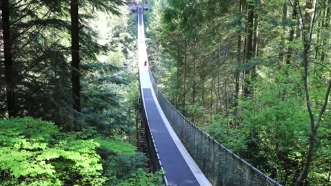 Suspension bridge Stock Footage 156005542