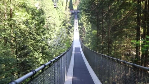 Suspension Bridge Stock Footage 156006602