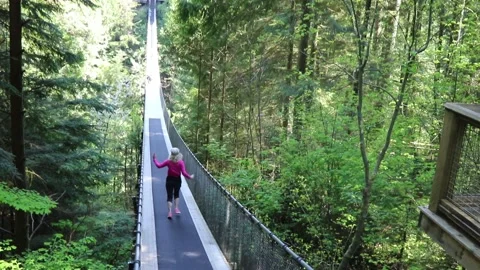 Suspension Bridge Stock Footage 156007150