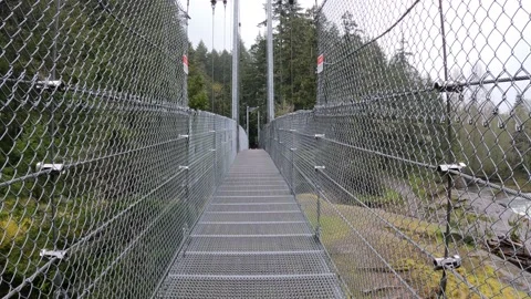 Suspension Bridge Stock-Footage 182931573