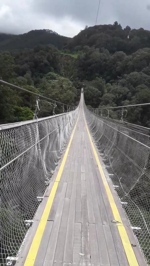 Suspension bridge Video stock 242730398