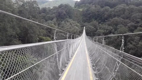 Suspension bridge Video stock 242730443