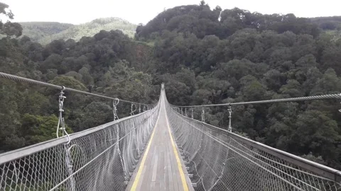 Suspension bridge Video stock 242730511