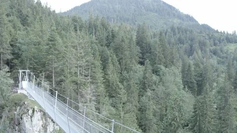Suspension bridge in a forest Stock Footage 138354699