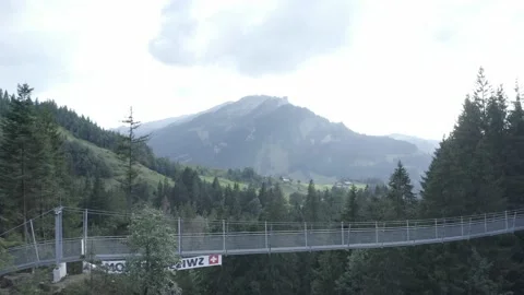 Suspension bridge in the forest Stock Footage 138354792