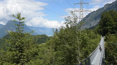 Suspension bridge Leissingen Video stock 119576352