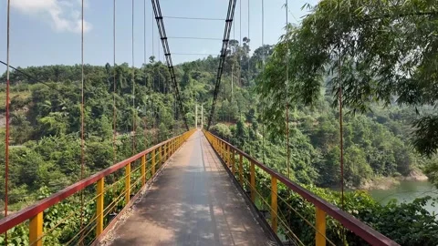 Suspension Bridge in Lush Valley Stock Footage 290080096