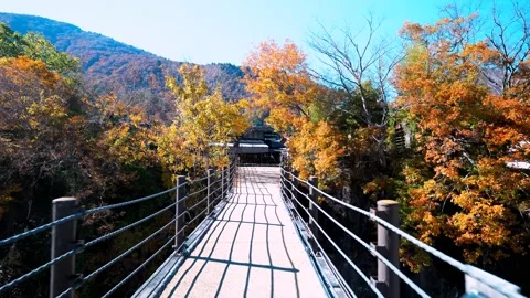 Suspension bridge in mountains Stock Footage 234541085