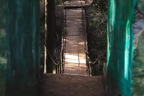 Suspension bridge over a dark ravine in the forest Stock Photos