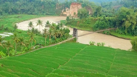 Suspension bridge over a flooded river. Stock Footage 277451677