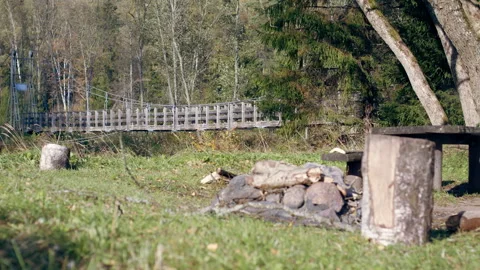Suspension bridge over the river on the background of the forest in autumn. Stock Footage 165387685