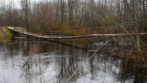 Suspension bridge over the river Stock Footage 119576161