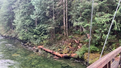 Suspension bridge over the river. Gateway wooden bridge. Stock Footage 220558986