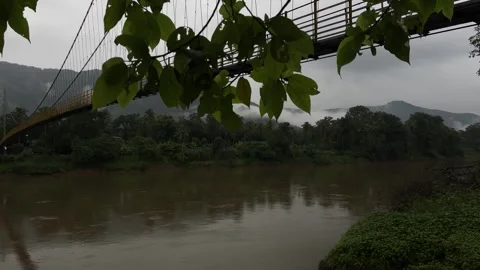 Suspension Bridge Over Tropical River with Misty Mountains and Rainforest in 4K Stock Footage 341621533