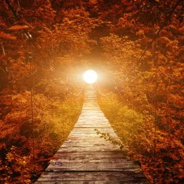 Suspension bridge. path to the light Stock Photos