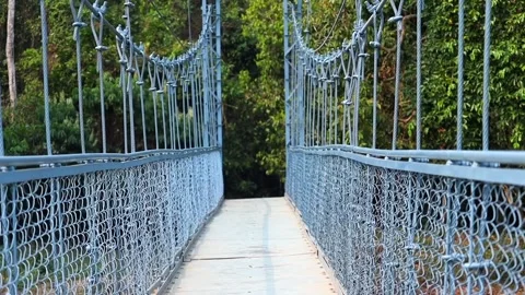 Suspension bridge pathway through green forest Stock Footage 332611607