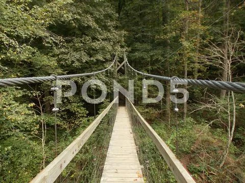 The Suspension Bridge Stock Photos