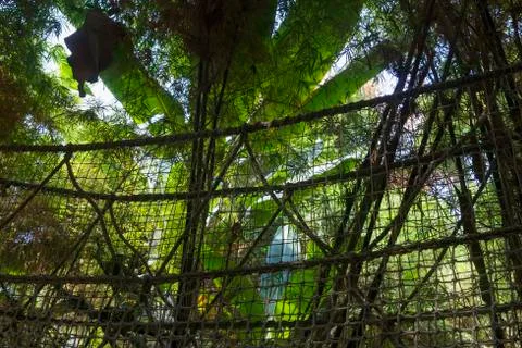 Suspension bridge Stock Photos