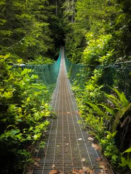 Suspension Bridge Stock Photos