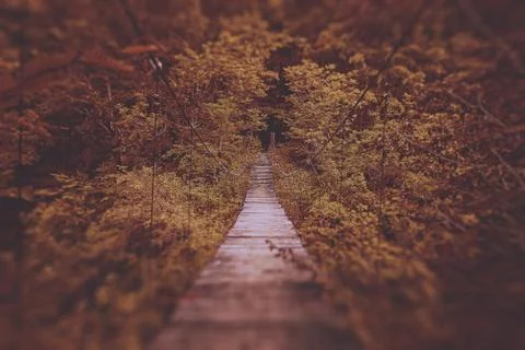 Suspension bridge Stock Photos