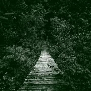 Suspension bridge Stock-Fotos