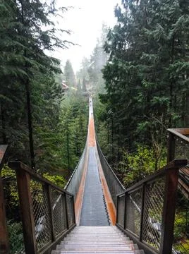Suspension Bridge Stock Photos