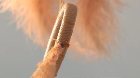 Suspension decoration on the ceiling of feathers Stock Footage 55768032