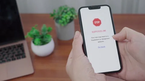 Suspicious Link AI Warning on Mobile Security Screen Stock Footage 340965398