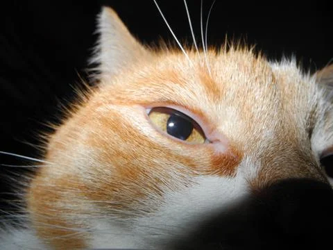 Suspicious look Stock Photos