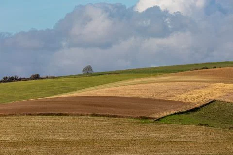 A Sussex Patchwork Landscape 스톡 사진