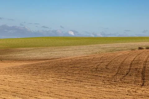 A Sussex Patchwork Landscape 스톡 사진