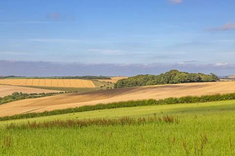 Sussex Patchwork Landscape 스톡 사진