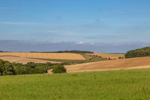 Sussex Patchwork Landscape 스톡 사진