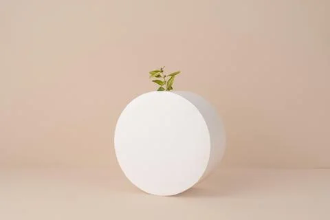 The sustainability concept with blank geometric forms growing plant Stockfoto's