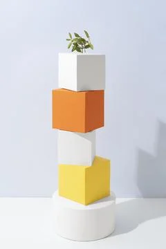 The sustainability concept with blank geometric forms growing plant Stock Photos