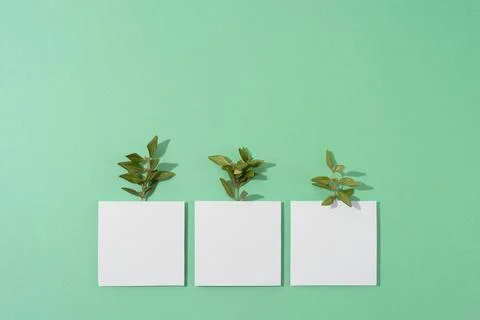 The sustainability concept with blank geometric forms growing plant Stock Photos