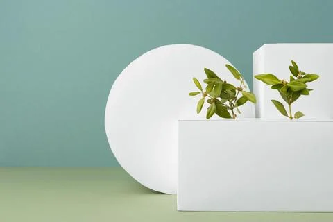 The sustainability concept with blank geometric forms growing plant Stock Photos