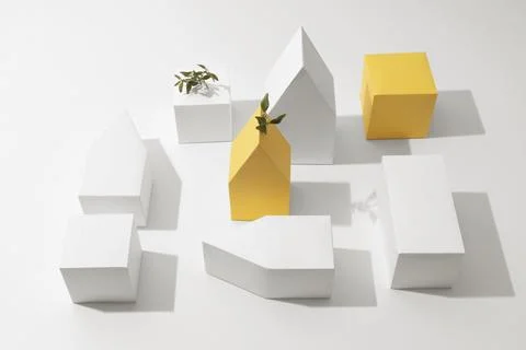 The sustainability concept with blank geometric forms growing plant Stock Photos