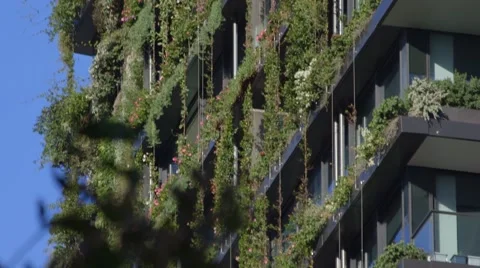 Sustainability - living wall architecture - tilt up facade Stock Footage