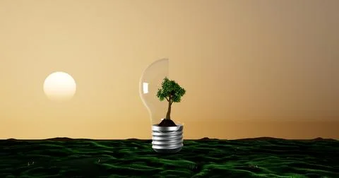 Sustainability Stock Photos