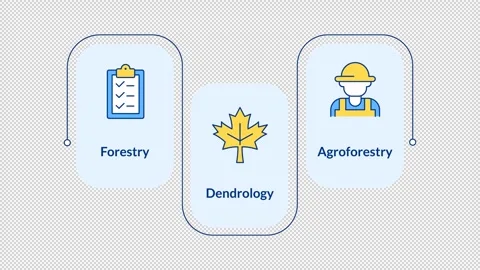 Sustainable agroforestry infographic animation rectangle Stock Footage 340415037