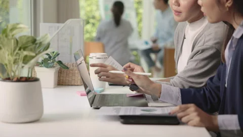 Sustainable consultant in Net zero ESG eco-friendly SME go green SDGs. Stock Footage 249447084