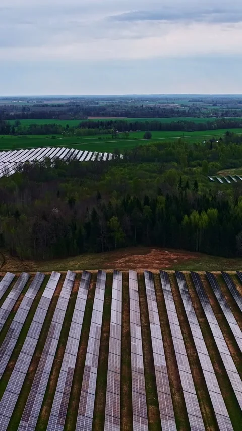 Sustainable energy solutions rows solar panels amidst natural forest hues Stock Footage 335029791