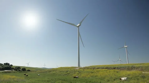 Sustainable environment Видео 39761626