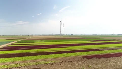 Sustainable Fields and wind generation, beautiful drone fly  Vídeos de archivo 161811929
