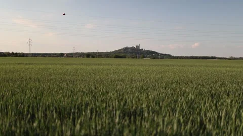 Sustainable green landscape Vidéo 337941704